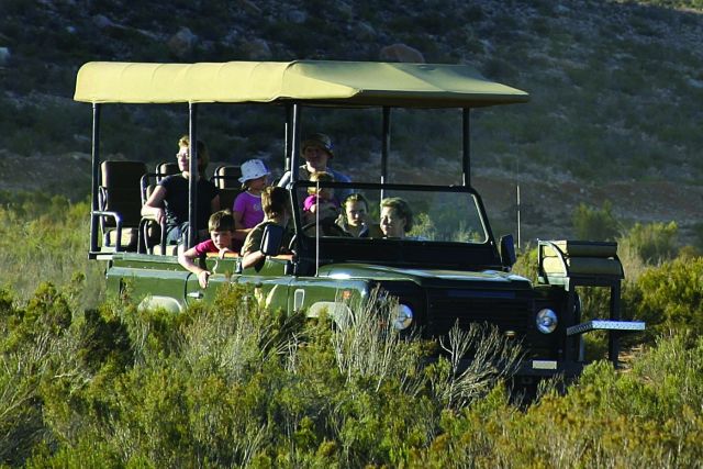 Big 5 Game Drive