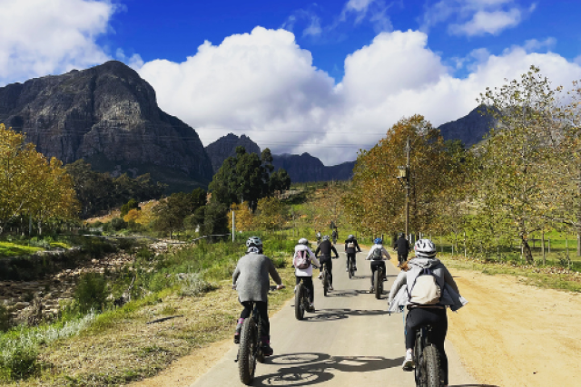 E-Bike Wine Farm Tours | Cape Adventure Zone